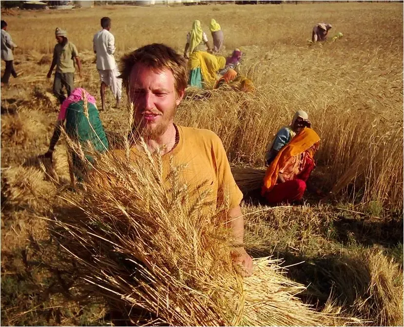 indian-wholewheat-flatbread-chapati bodyImage