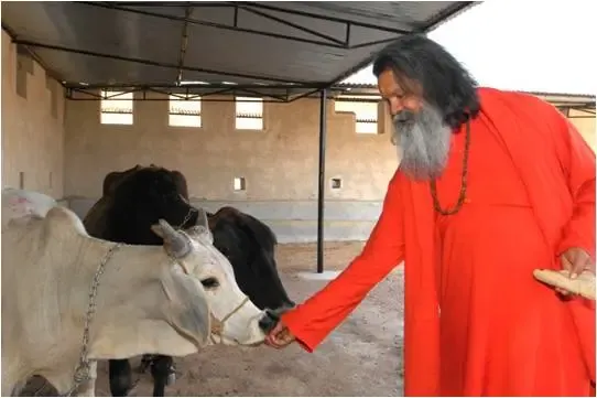 indian-wholewheat-flatbread-chapati bodyImage