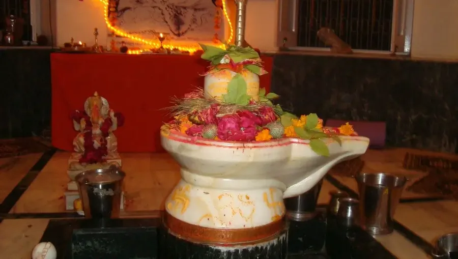 mahashivaratri-in-om-ashram-2015 bodyImage