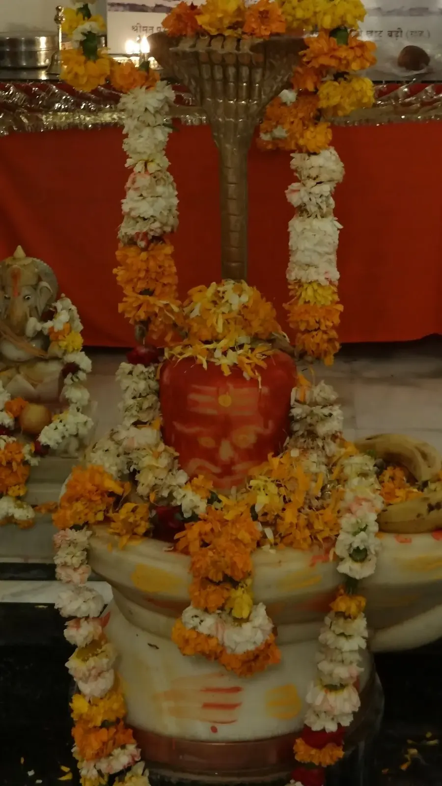 mahashivaratri-the-great-night-of-shiva-in-om-ashram-jadan bodyImage