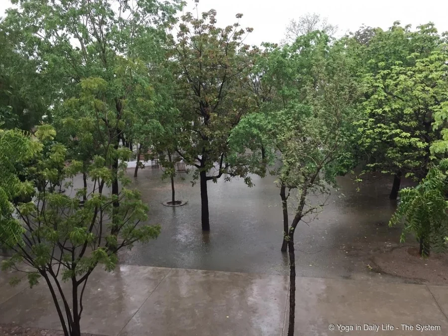 Near Shiv Mandir, first good rain of the season on July 28th