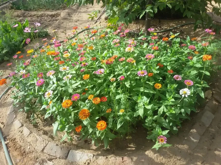 new-look-of-kailash-ashram bodyImage