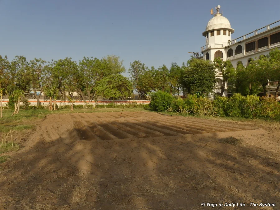 New area prepared for marigold and bottle gourd