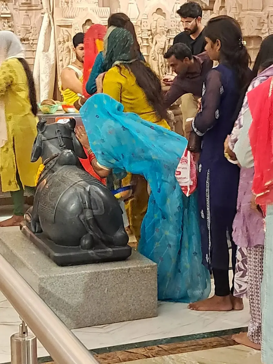 om-ashram-glows-in-devotion-a-joyful-celebration-of-nirjala-ekadashi bodyImage