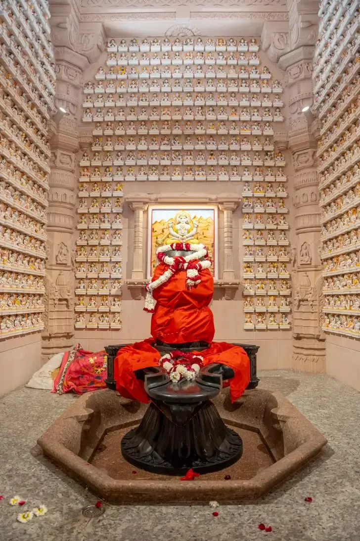 opening-of-om-ashram-day-3 bodyImage