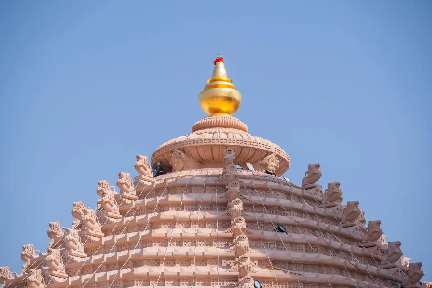 opening-of-om-ashram-day-7 bodyImage