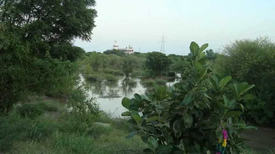 peace-prayer-2016 bodyImage