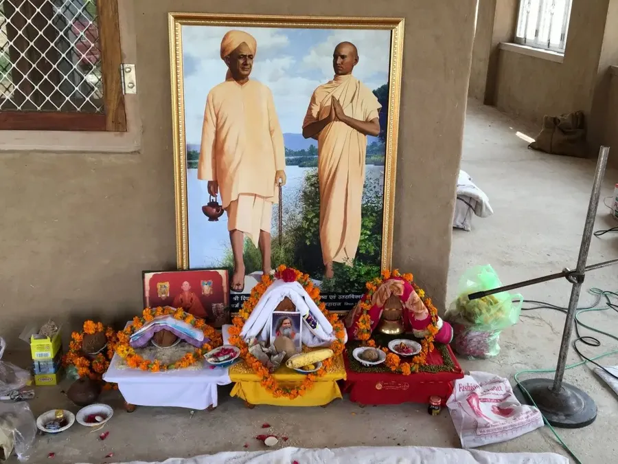 peace-tree-planting bodyImage