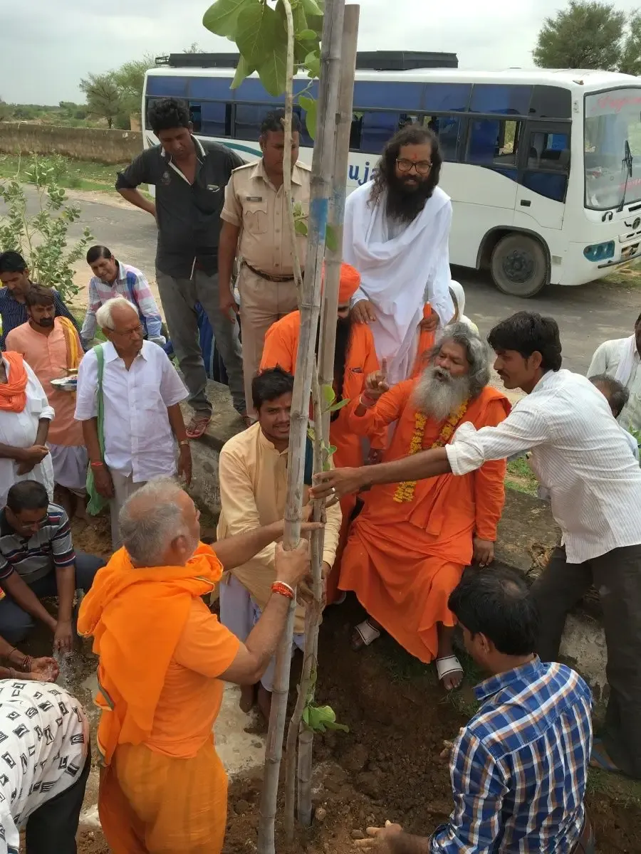 peace-tree-planting bodyImage