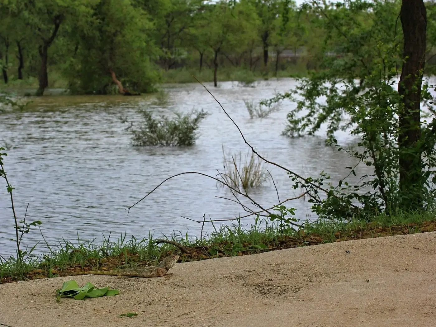 rain-in-om-ashram bodyImage