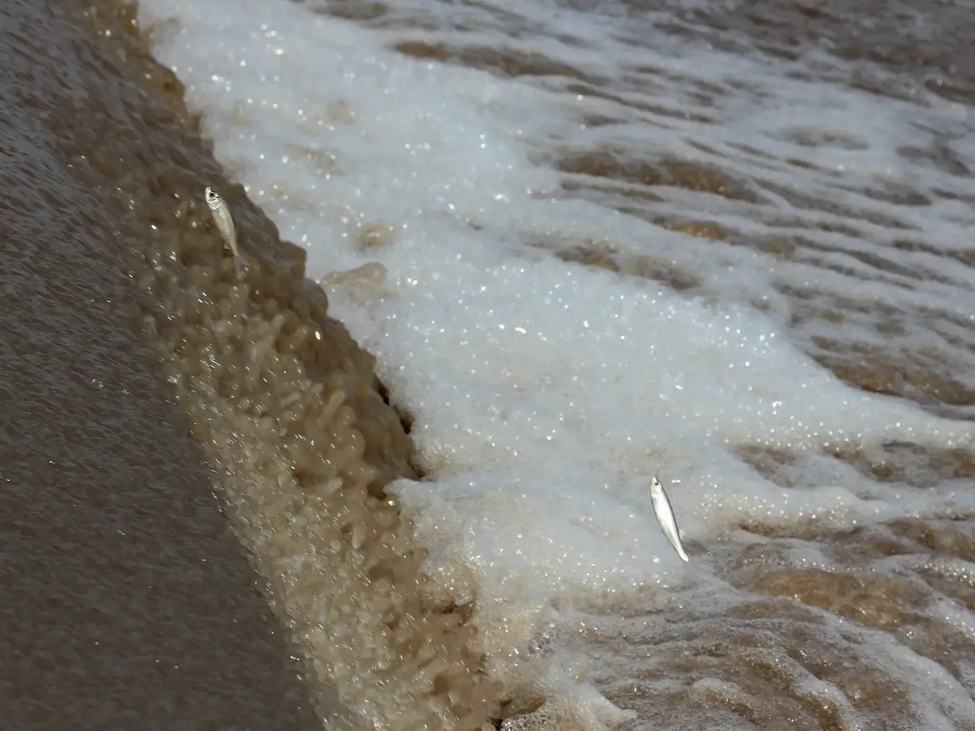 rain-in-om-ashram bodyImage