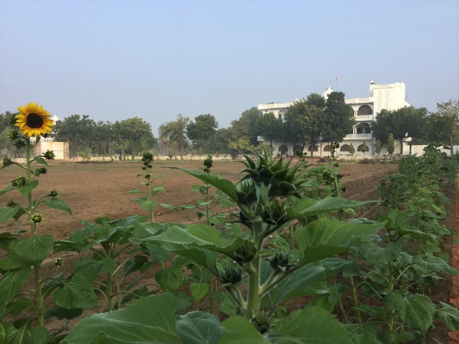 reaching for the sky 1200