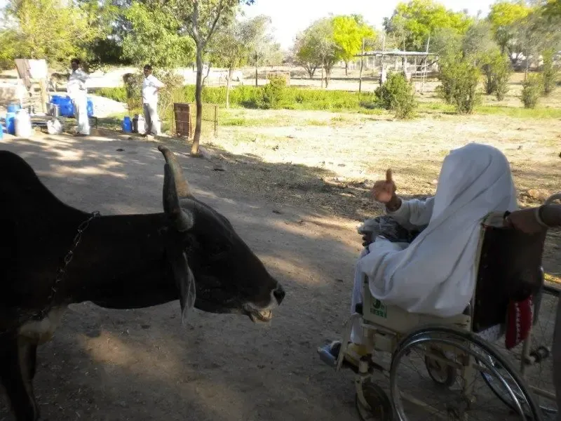 remembering-mataji bodyImage