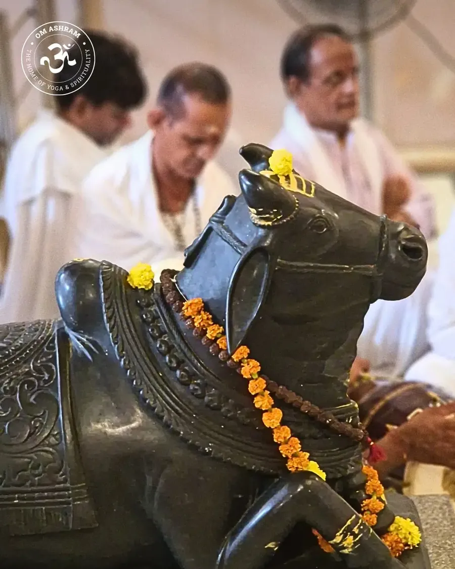 seven-day-mahamrityunjaya-and-rudrabhishek-ceremony bodyImage