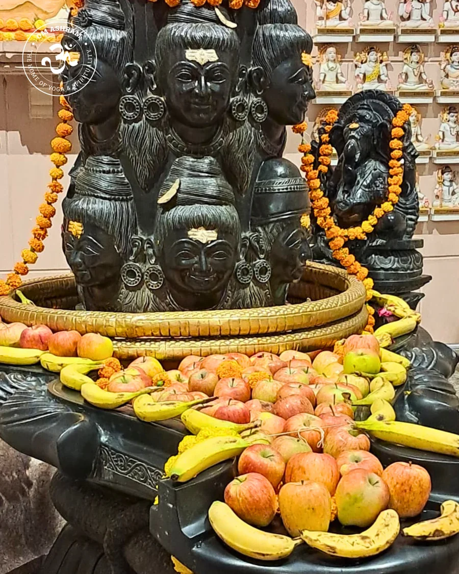 sharad-purnima-at-om-ashram bodyImage