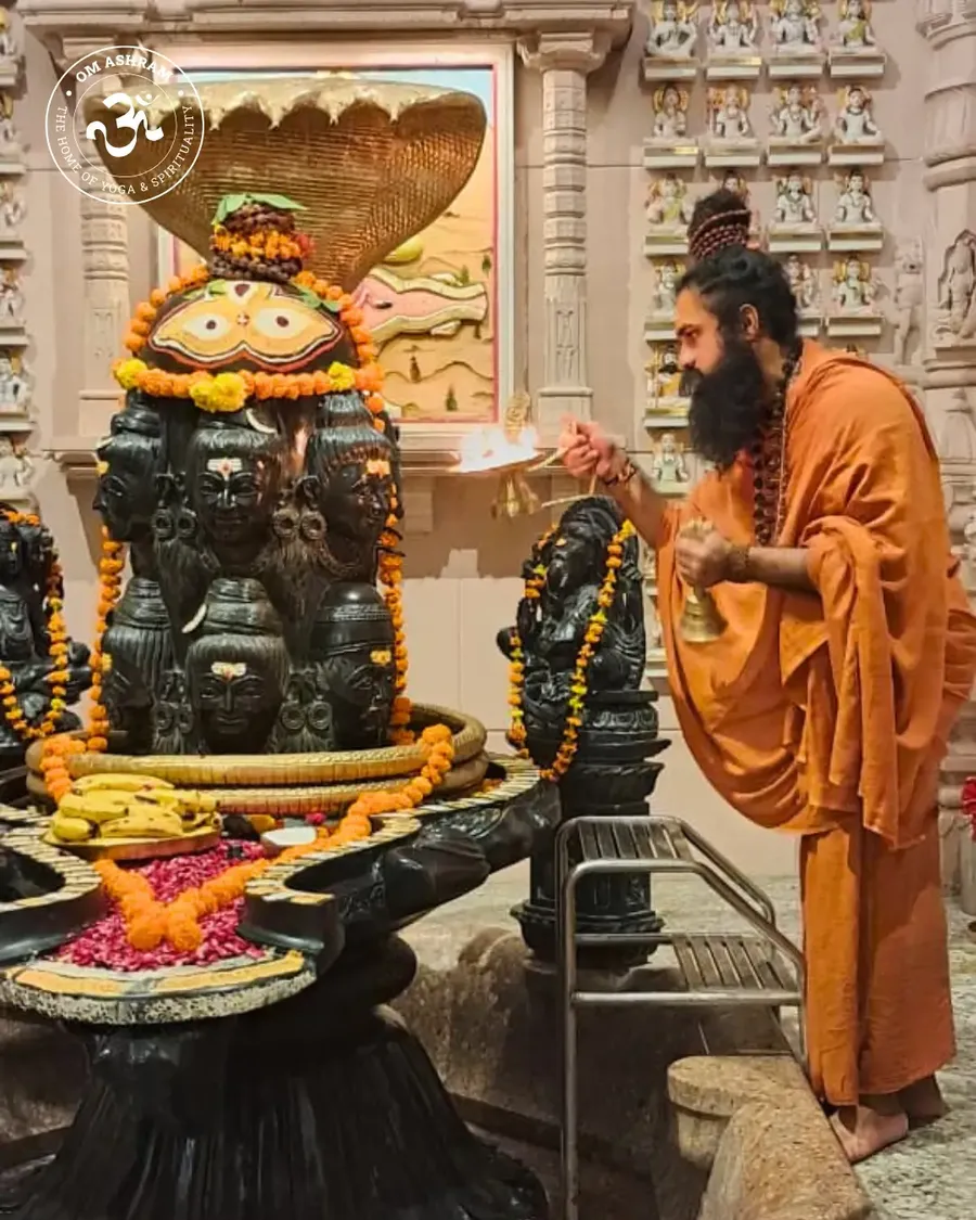 shardiya-navaratri-arrives-at-om-ashram bodyImage