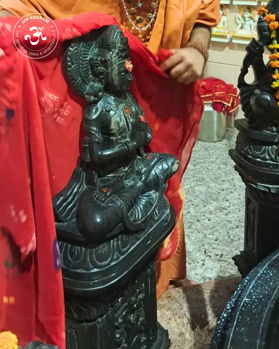 shardiya-navaratri-arrives-at-om-ashram bodyImage