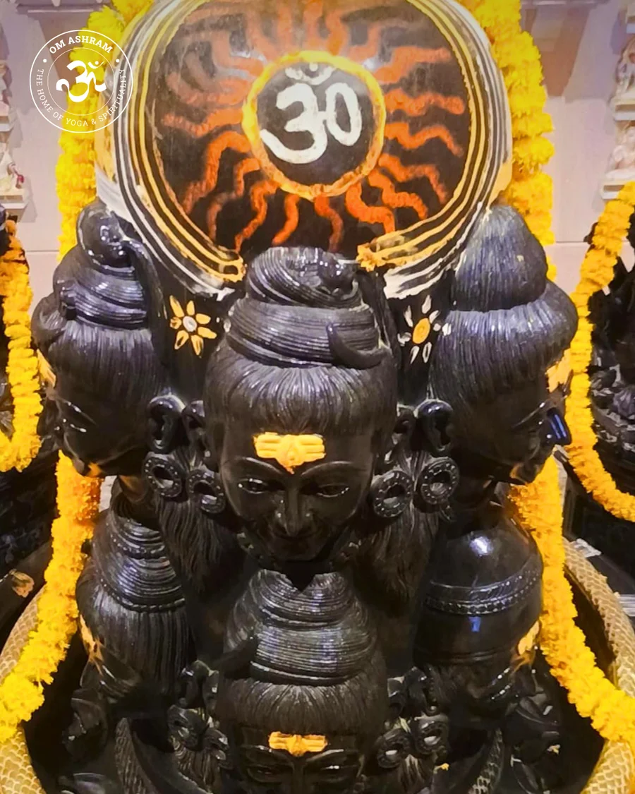 shiva-linga-of-om-ashram-pillar-of-light-hi_12.png