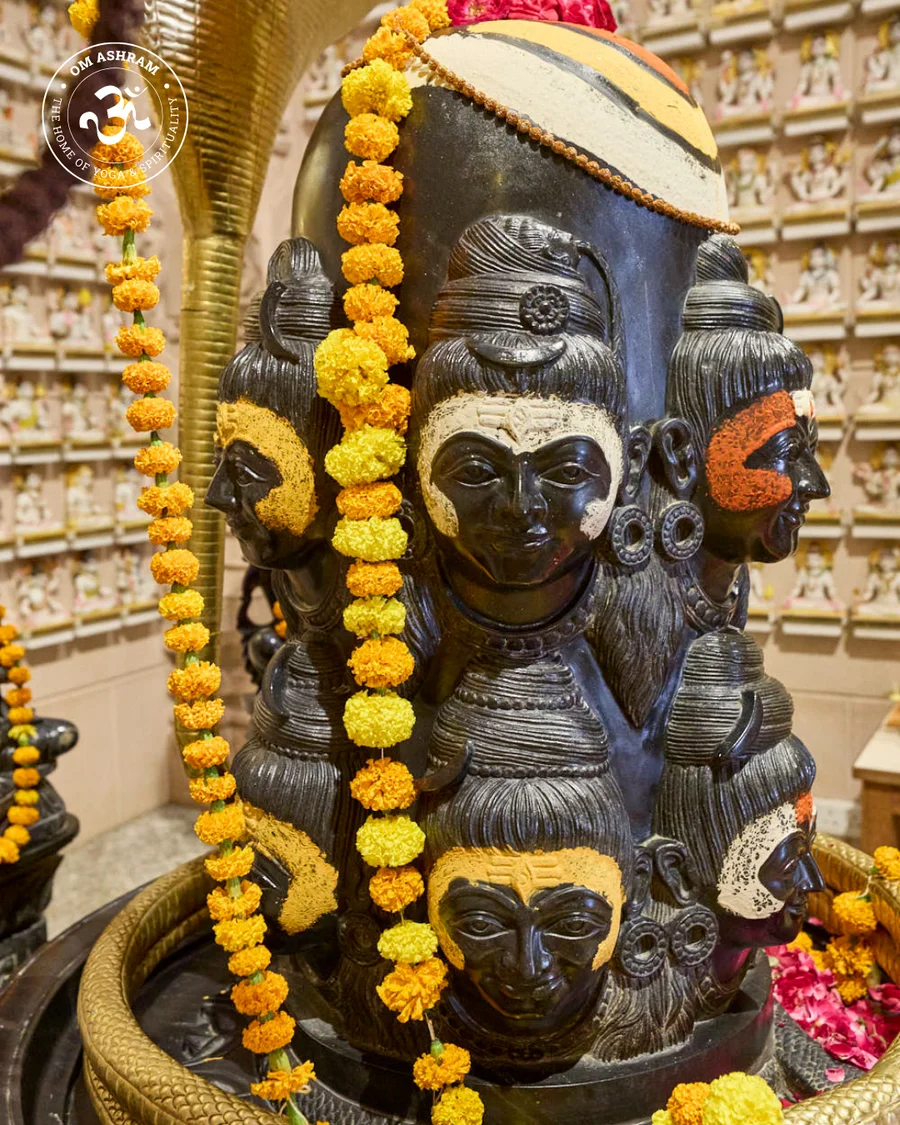 shiva-linga-of-om-ashram-pillar-of-light-hi_14.png