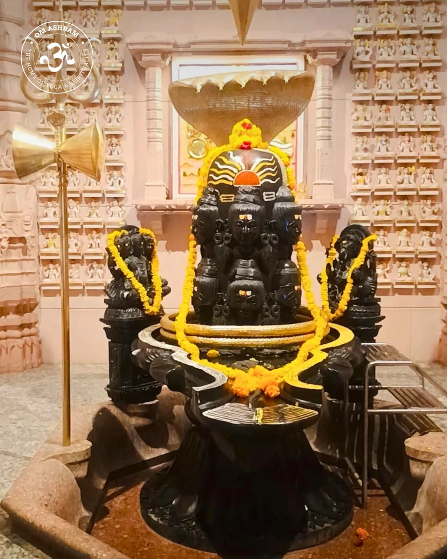 shiva-linga-of-om-ashram-pillar-of-light-hi_7.png