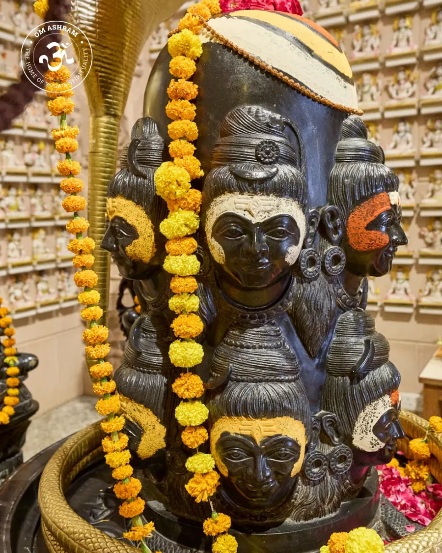 shiva linga of om ashram pillar of light - hi - image 14