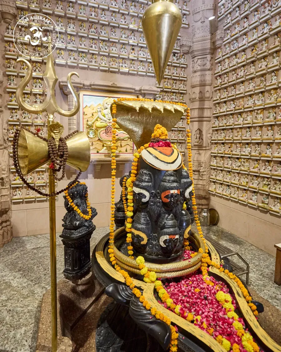 shiva linga of om ashram pillar of light - hi - image 15