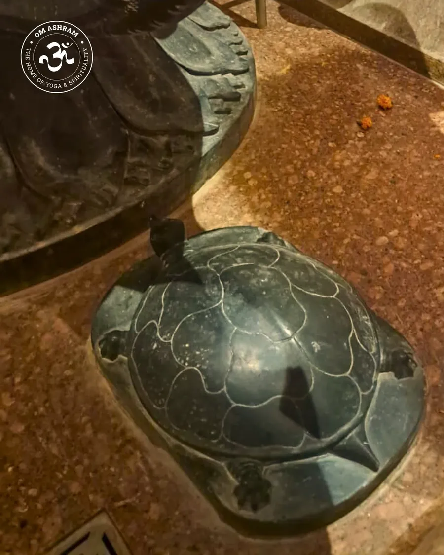 shiva linga of om ashram pillar of light - hi - image 18