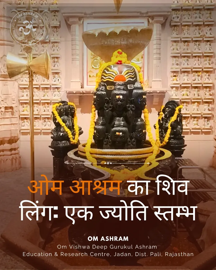 shiva linga of om ashram pillar of light - hi - image 4