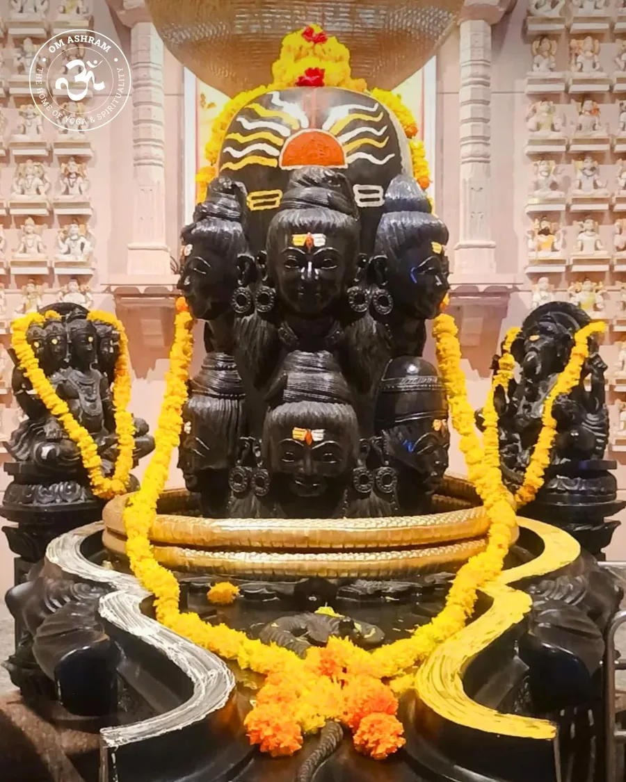 shiva linga of om ashram pillar of light - hi - image 6