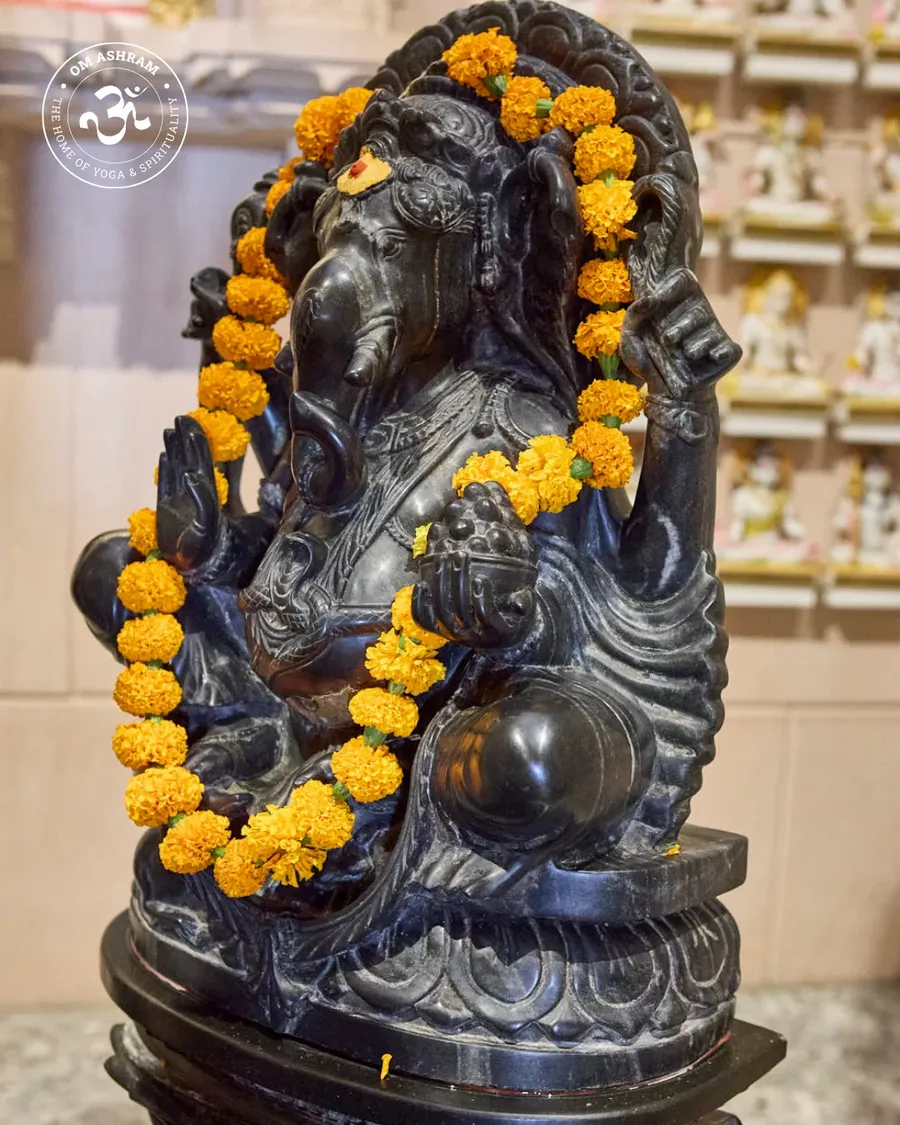 shiva linga of om ashram pillar of light - hi - image 9