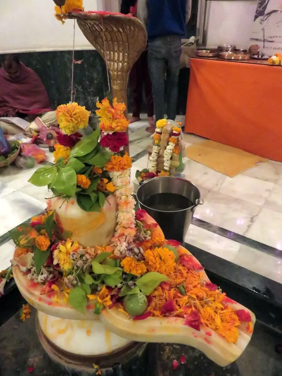 shivaratri-celebration-in-om-ashram bodyImage