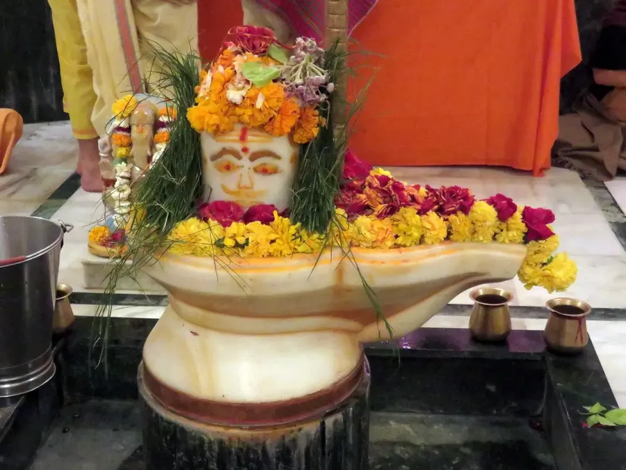 shivaratri-celebration-in-om-ashram bodyImage