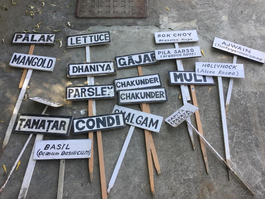 some of the things that we grow during the winter 1200