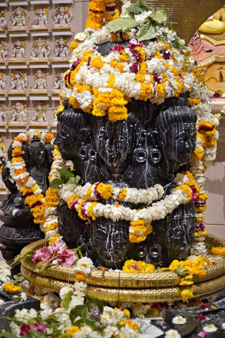 the-first-shivaratri-in-om-ashram bodyImage