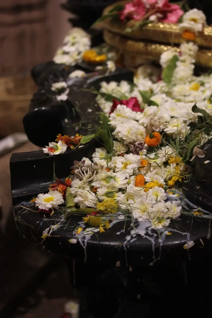 the-first-shivaratri-in-om-ashram bodyImage