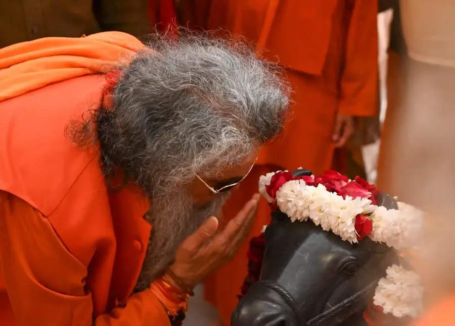 the-grand-opening bodyImage