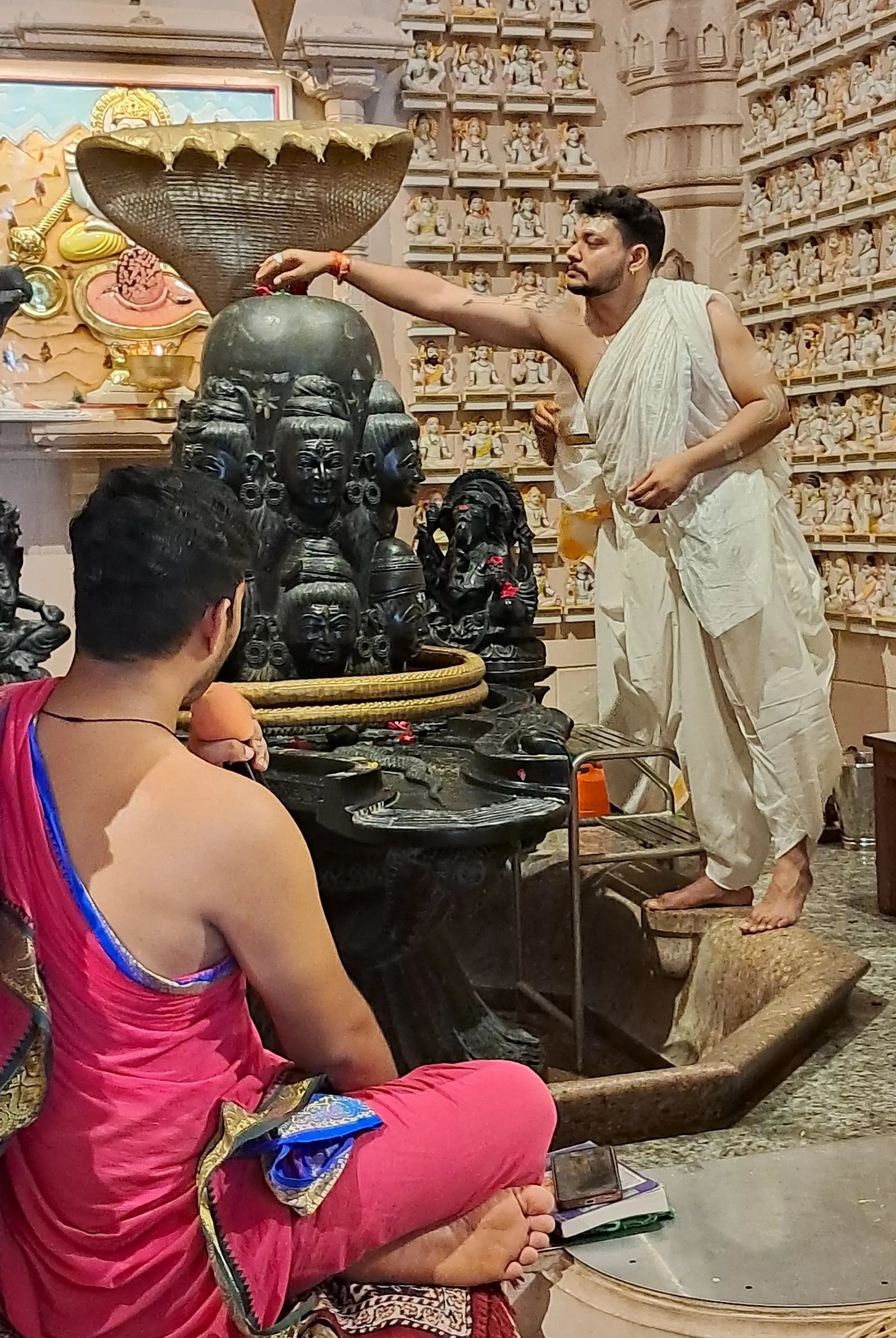 the-grand-rudrabhishek-at-om-ashram bodyImage