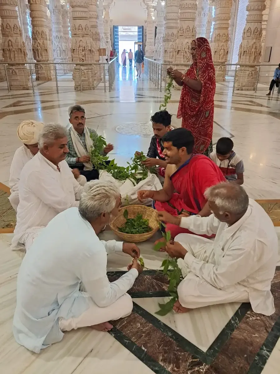the-grand-rudrabhishek-at-om-ashram bodyImage