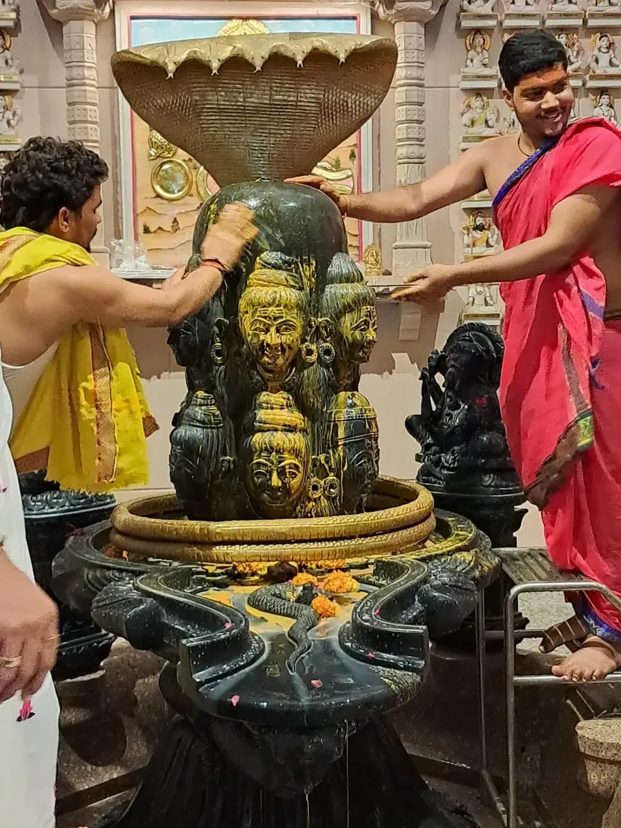 the-grand-rudrabhishek-at-om-ashram bodyImage