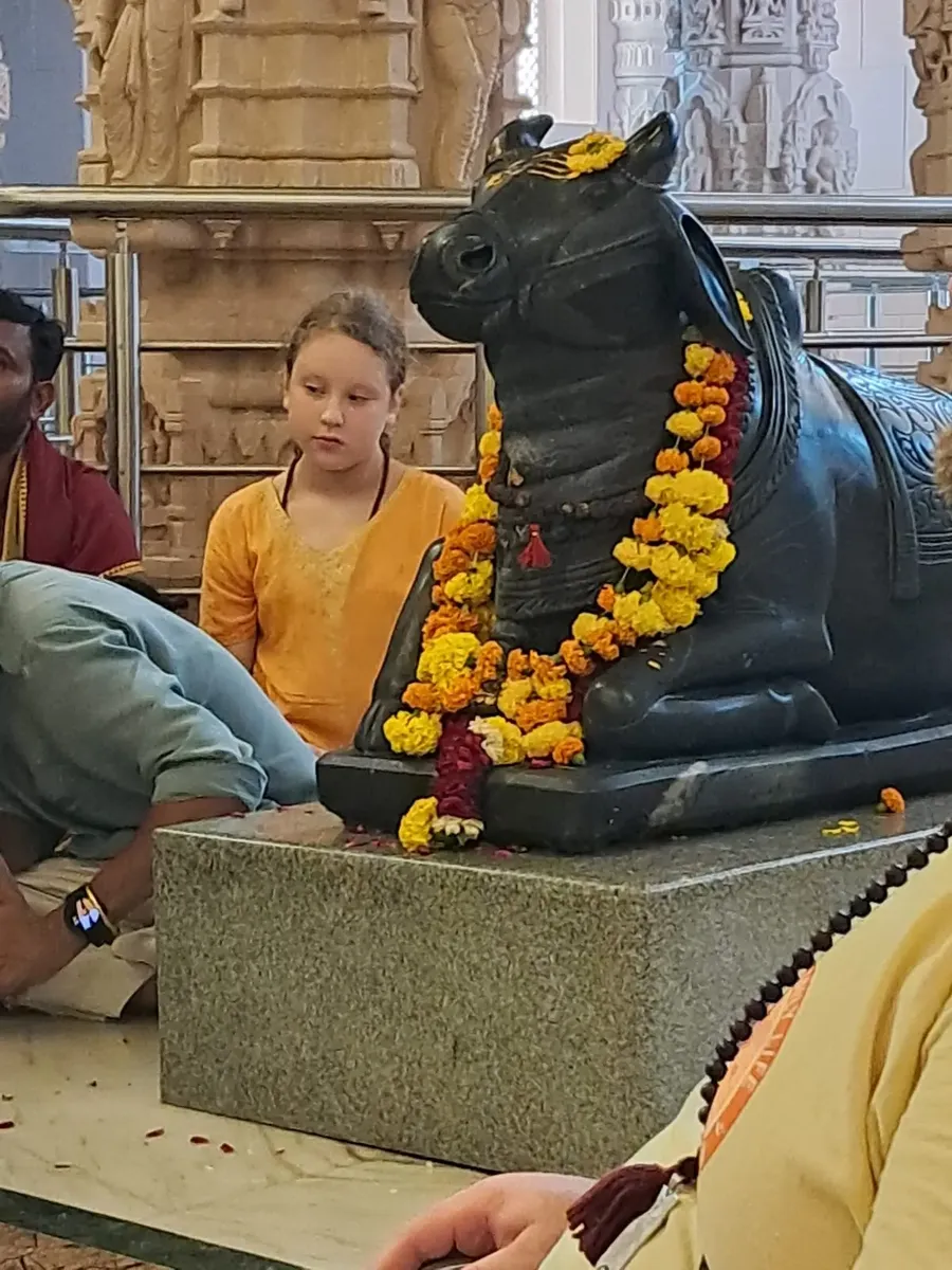 the-power-of-rudra-abhishek-at-om-ashram bodyImage