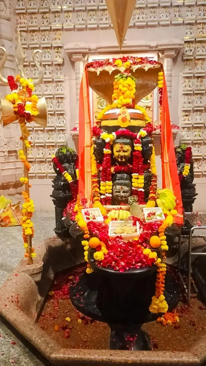 the-power-of-rudra-abhishek-at-om-ashram bodyImage