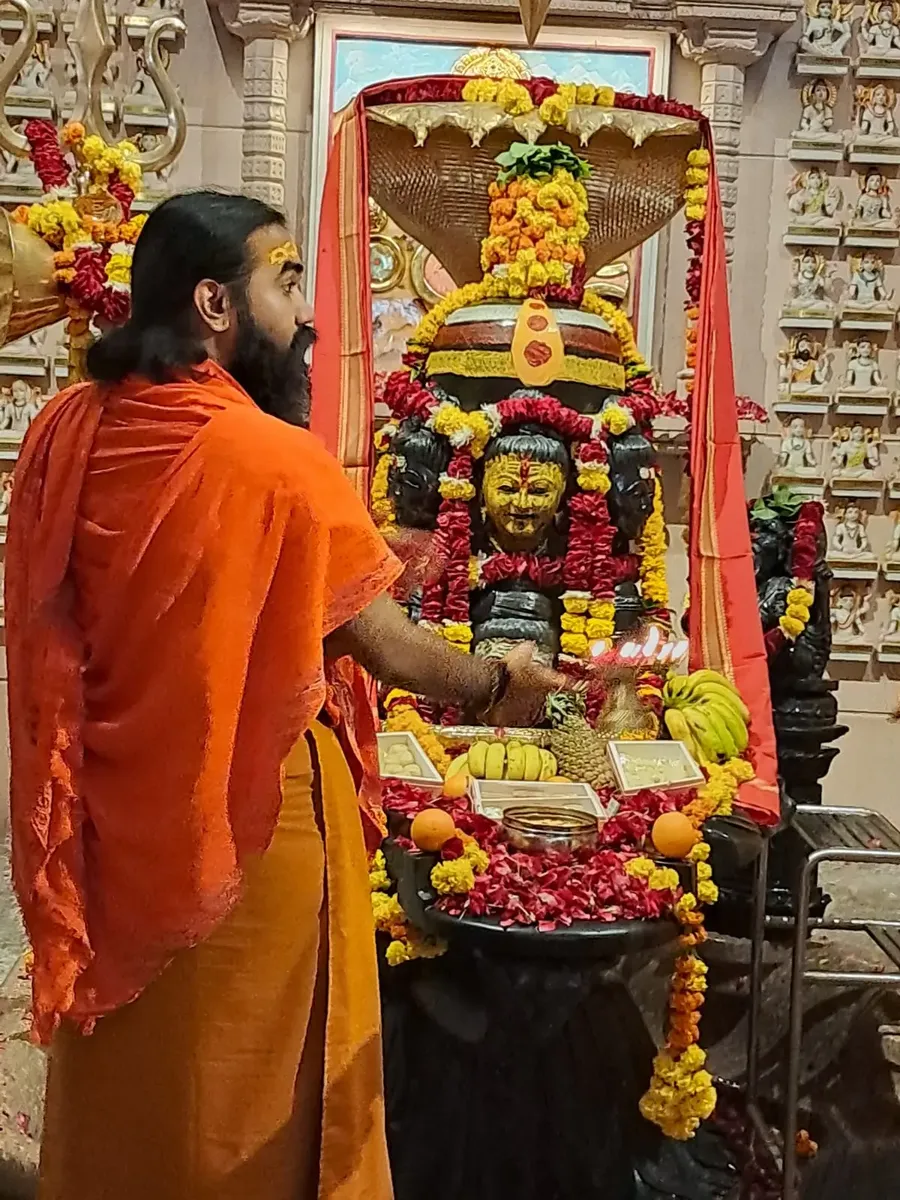 the-power-of-rudra-abhishek-at-om-ashram bodyImage