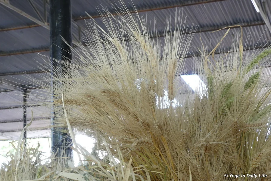 The beauty of Creation