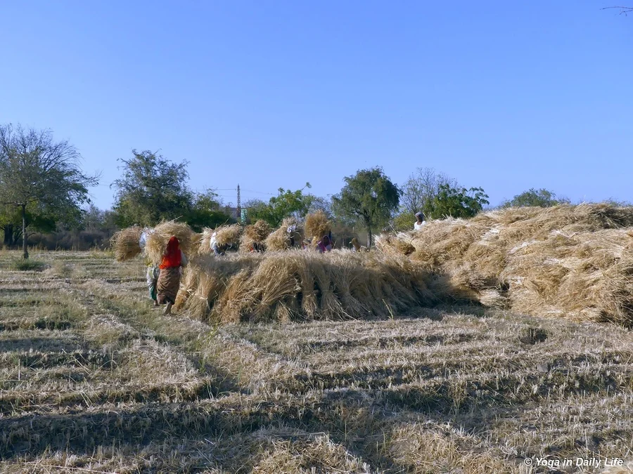The divine blessing of abundance