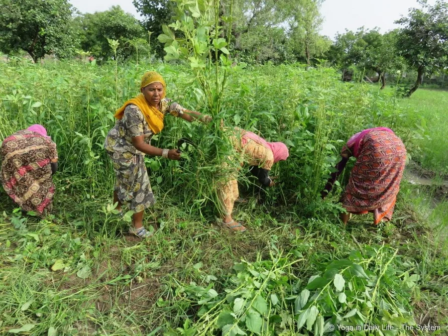 Tough work in sauna-like humidity and polyester clothing