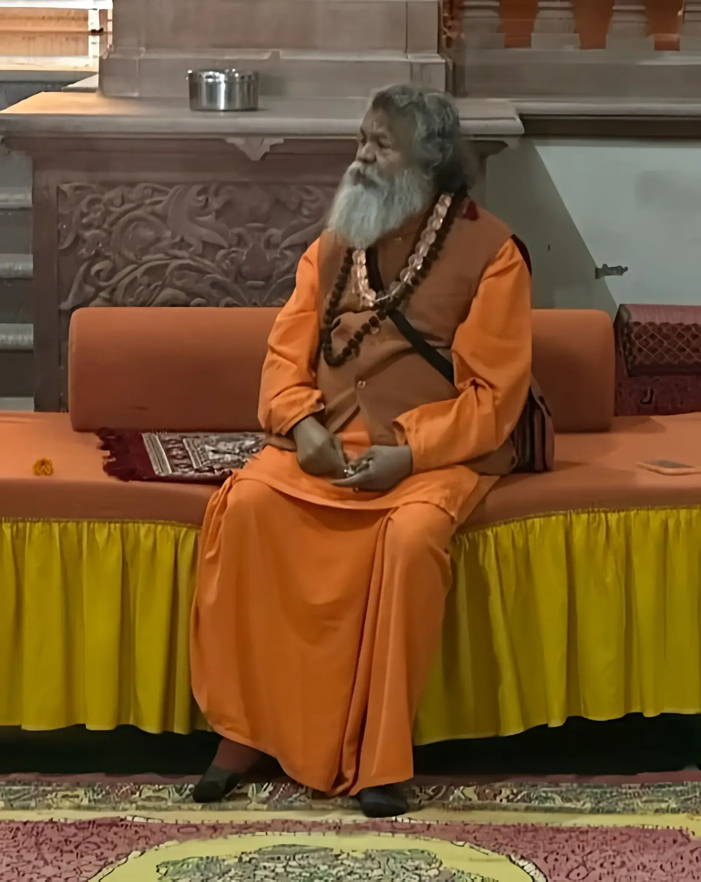 vishwaguruji-in-om-ashram bodyImage