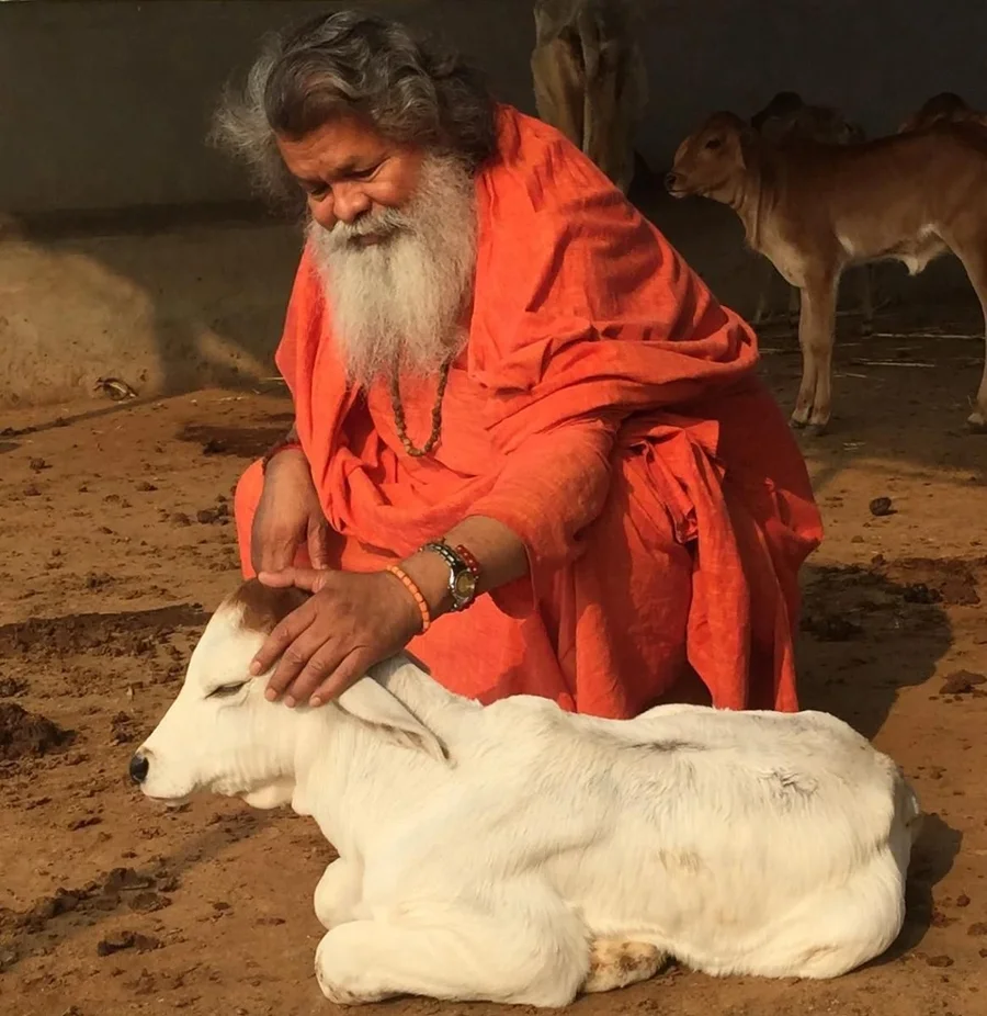 vishwaguruji-on-gausala mainImage