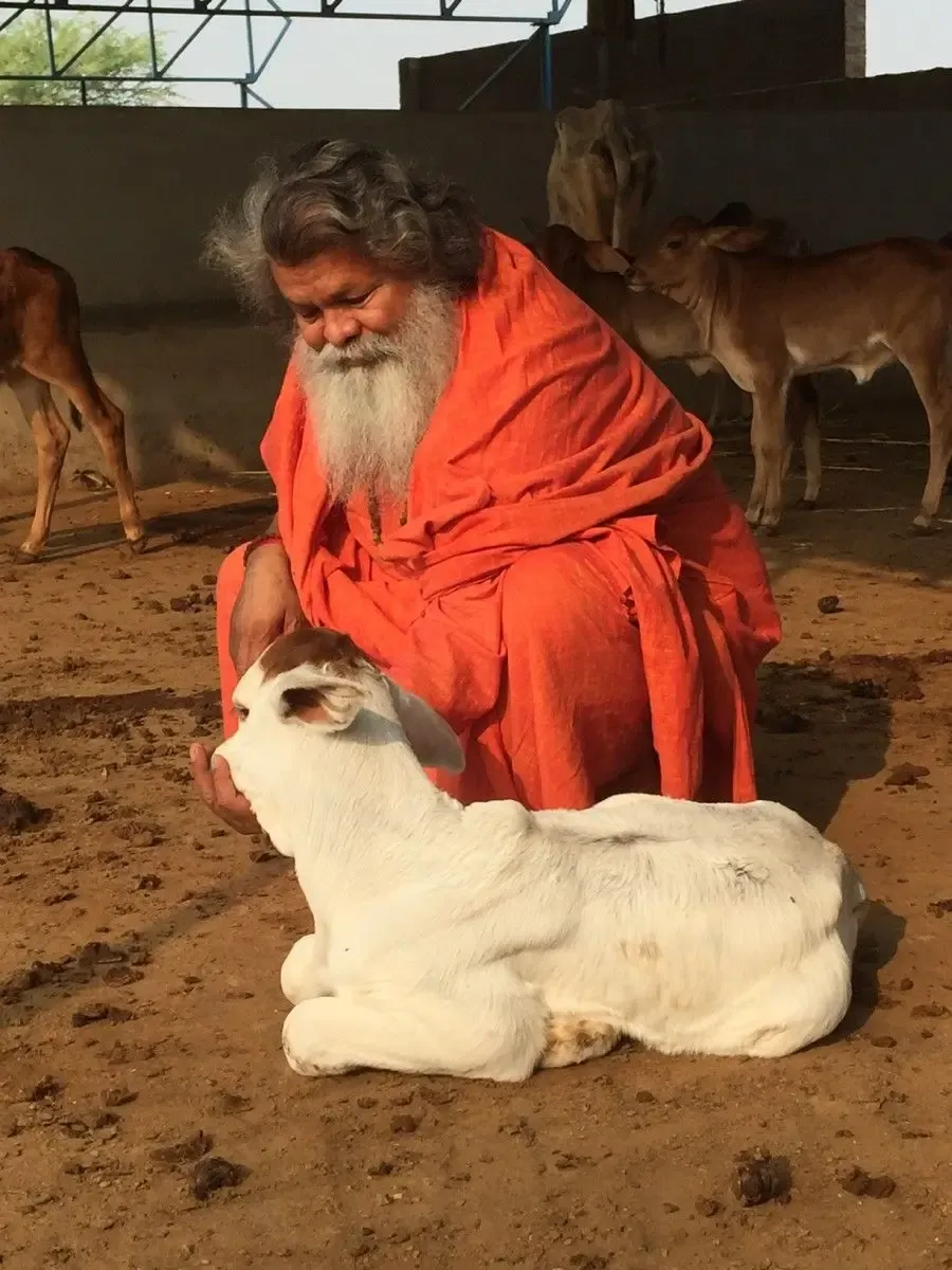 vishwaguruji-on-gausala bodyImage