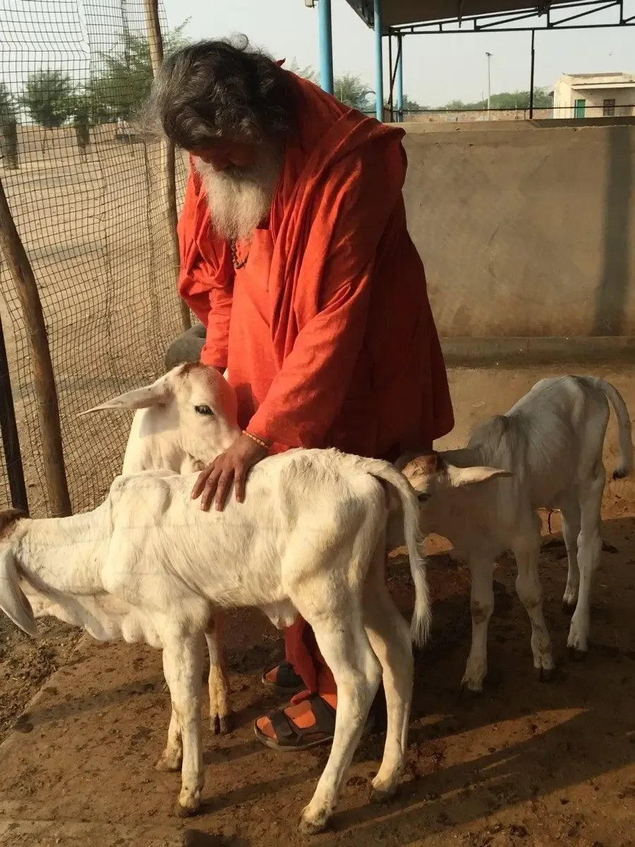 vishwaguruji-on-gausala bodyImage