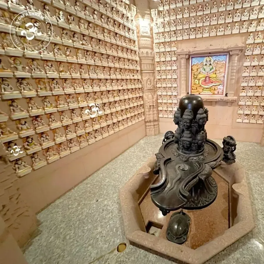 vision-of-om-becomes-reality bodyImage